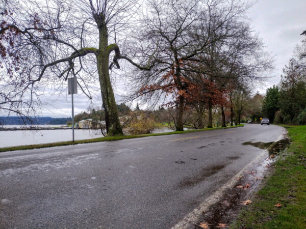Traffic Safety Advocates Demand Action on Lake Washington Boulevard Improvements