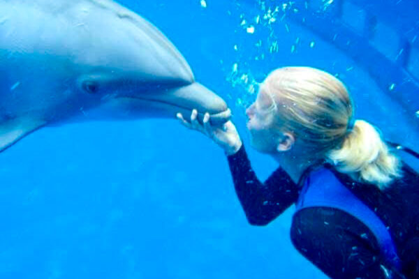 Miami Seaquarium Seeks to Sell Marine Mammals Amid Bankruptcy Concerns