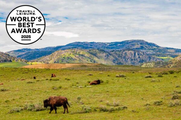Travel + Leisure Readers Select Top U.S. National Parks for 2024