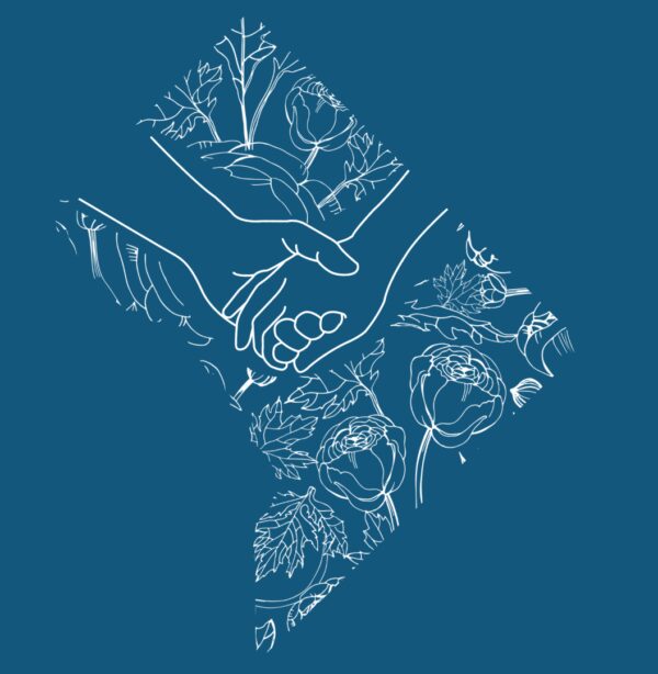 The Crucial Role of Abortion Doulas in a Changing Landscape of Reproductive Rights