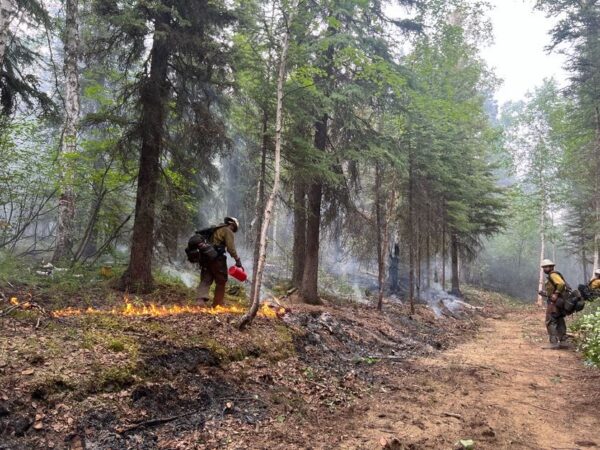 Alaska Wildfires Intensify as Preparedness Level Reaches Maximum