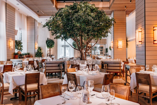 Exciting New Dining Concepts Set to Open in Dallas This Fall