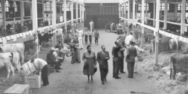 The Big E: Celebrating 250 Years of Community, Culture, and Economy