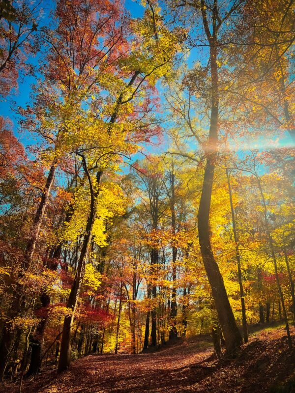 Discover Atlanta’s Parks This Fall with Park Pride’s Recommendations