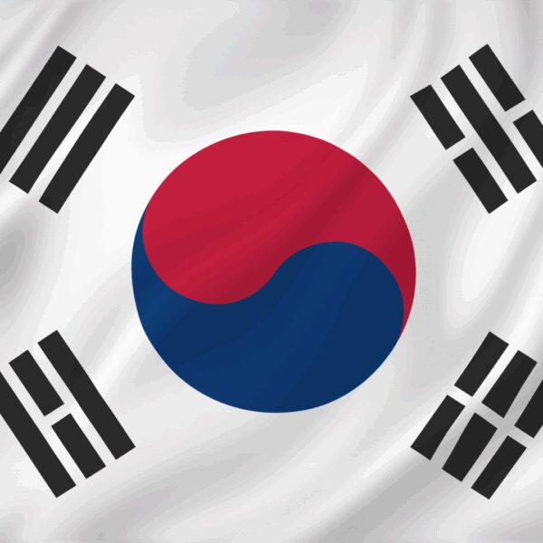 Federal Immigration Raid at Hyundai-LG Plant Sparks Outcry from Korean-American Community