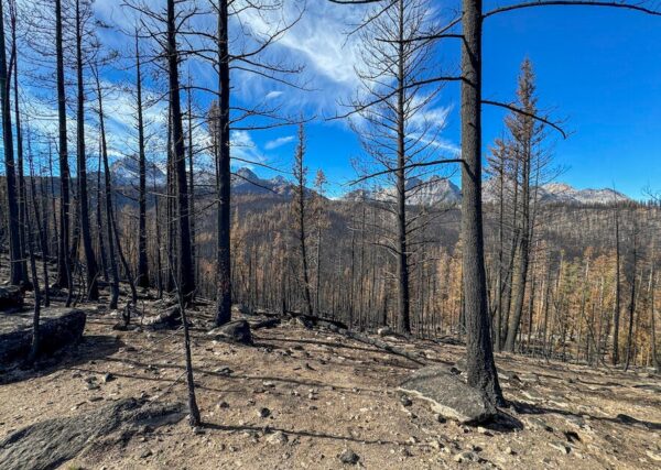 Collaborative Research Initiative Seeks to Transform Wildfire Management in the Western U.S.