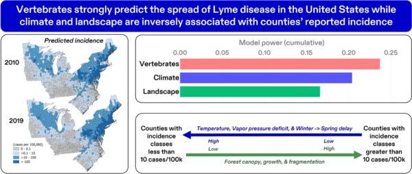 A Comprehensive Machine Learning Model Predicts Lyme Disease Incidence in the United States