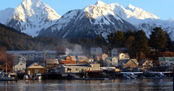Exploring the Enchanting Wilderness of Alaska: A Cruise Experience