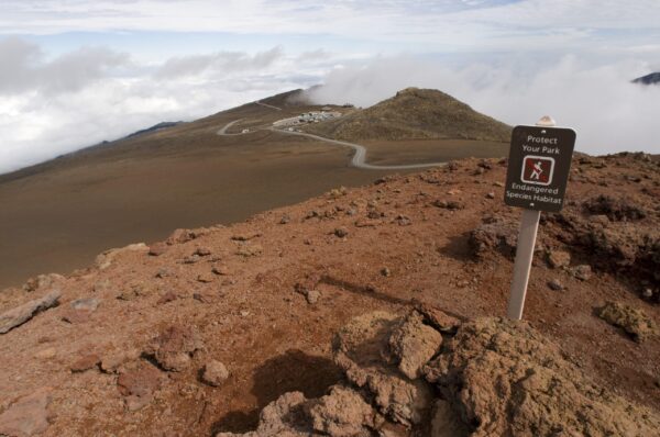 Native Hawaiians and Residents Challenge U.S. Military’s Control of Sacred Lands in Hawai’i