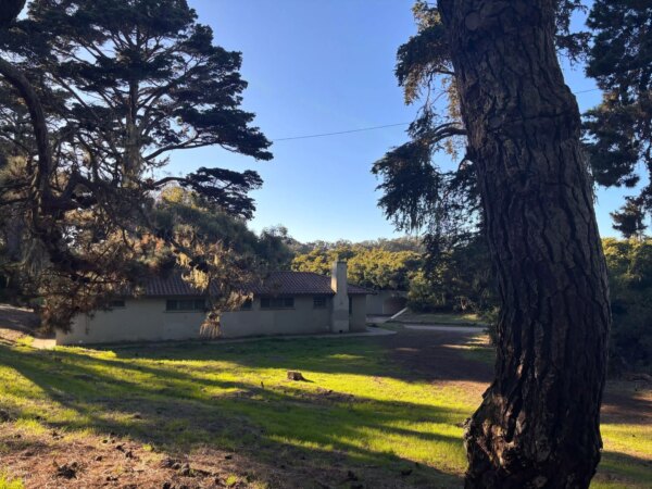 Investigation Underway After Alleged Child Assault in Golden Gate Park Restroom