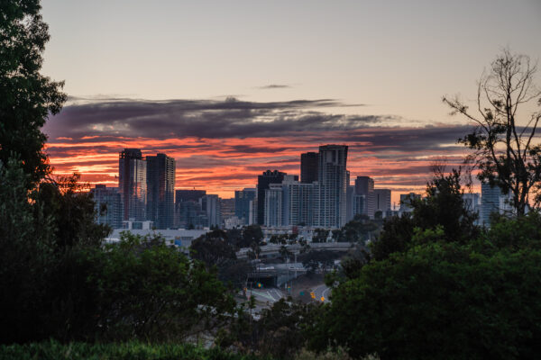 Concerns of Safety and Taxation in San Diego: A Dual Perspective