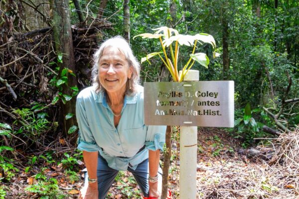 Dr. Phyllis ‘Lissy’ Coley Honored by Smithsonian for Contributions to Tropical Biology
