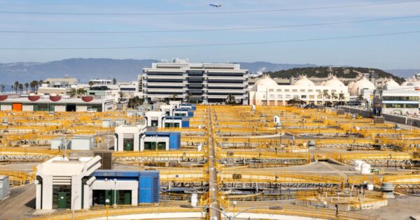 Trump Administration Cancels $7.56 Billion in Renewable Energy Funding, Impacting Democrat and Republican Districts Alike